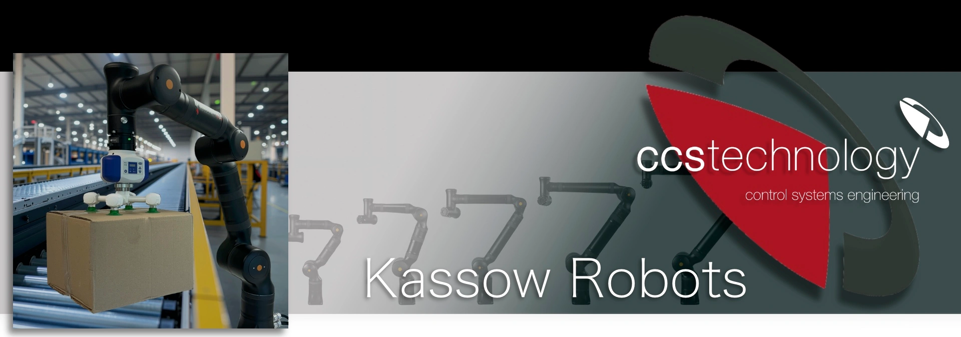 Kassow Robots